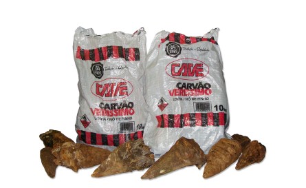 Pacotes de carvão para churrasco